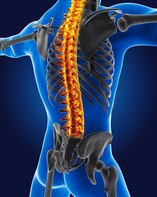 WHAT CAUSES UPPER BACK PAIN?