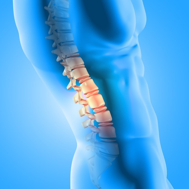 CHIROPRACTIC FOCUS – POSTURE IS A MIRROR TO YOUR HEALTH